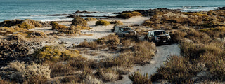 Two trucks on a dirt road heading away from the beach.