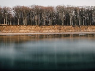 The ghost forest in Germany.