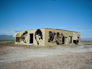 Artist Jess Mudgett's complete desert mural.