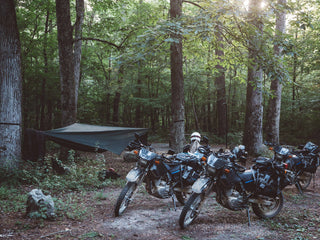 Motorcycles in woods.